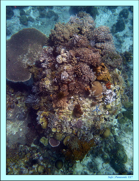 2012 - 07 - Palinton Sanctuary 16